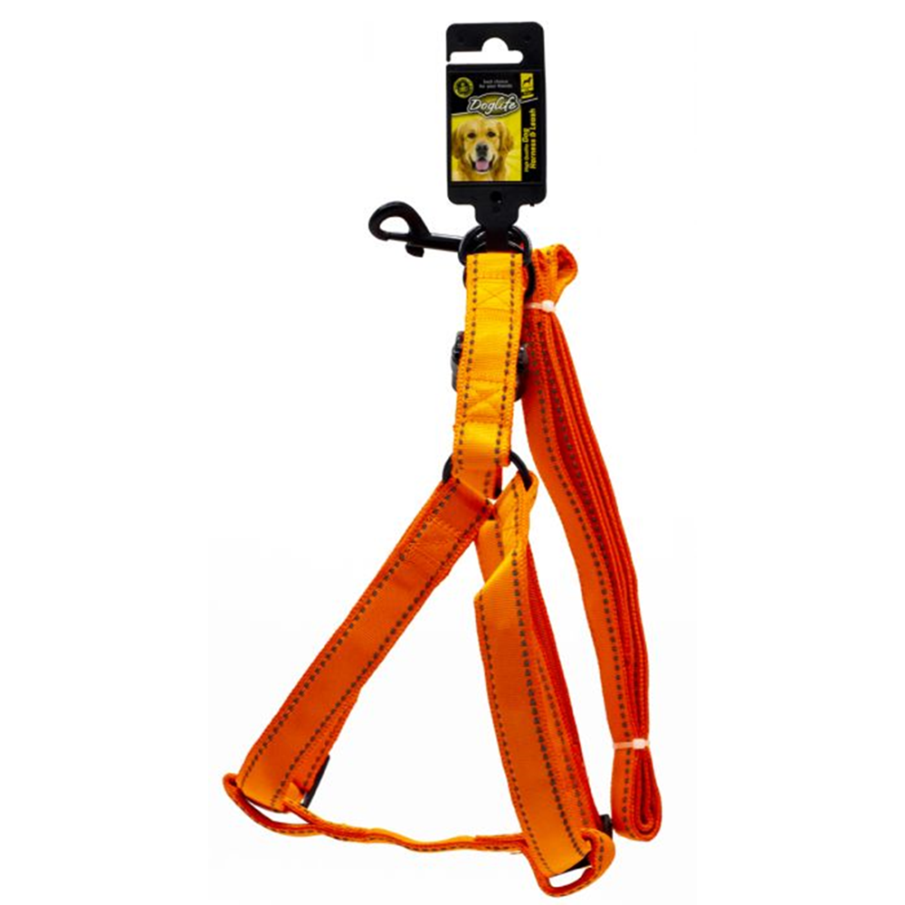 Doglife Fosforlu Göğüs ve Gezdirme Tasması 2,5cm