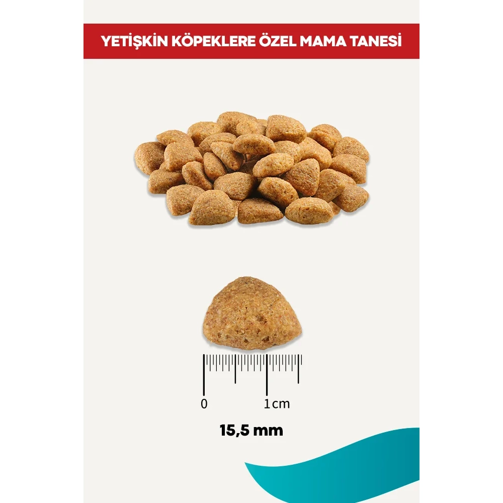 Rico Biftekli Yetişkin Köpek Maması 15 Kg