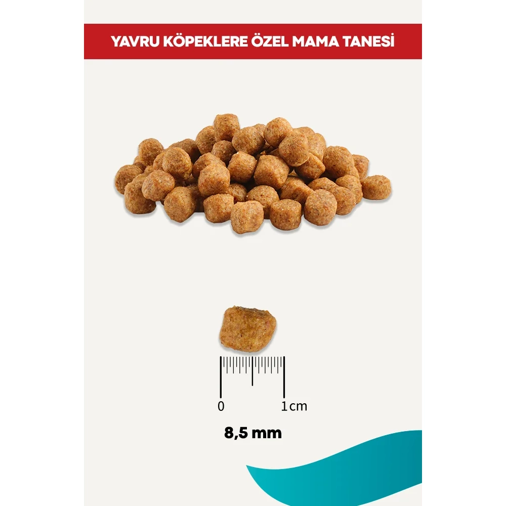 Rico Sığır Etli Yavru Köpek Maması 15 Kg