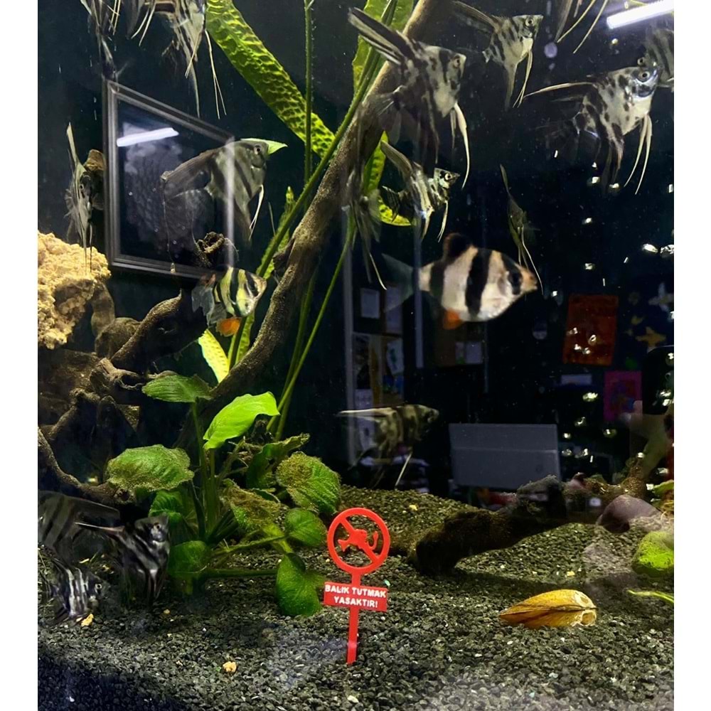 Dekoratif Balık Tutmak Yasaktır Tabelası 10 cm