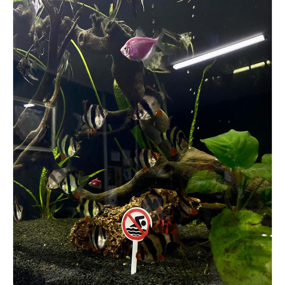 Dekoratif Yüzmek Yasaktır Tabelası 10 cm