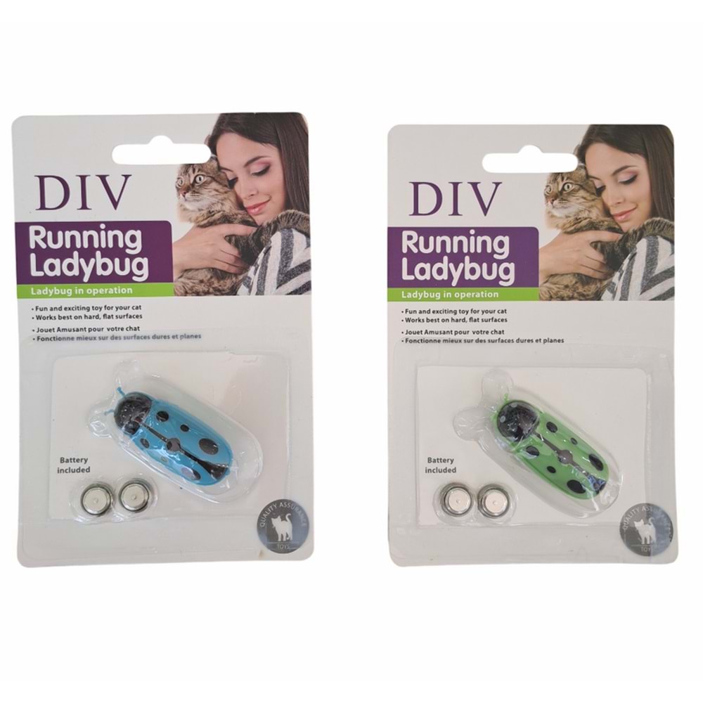 Böcek Şekilli Kedi Oyuncak