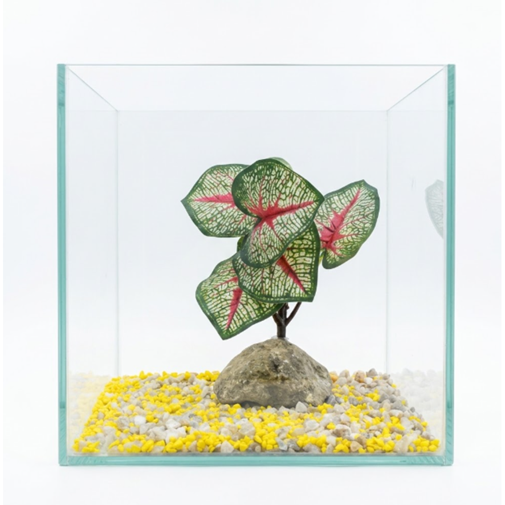 Hazır Dekorlu Mini Akvaryum 30x30x30