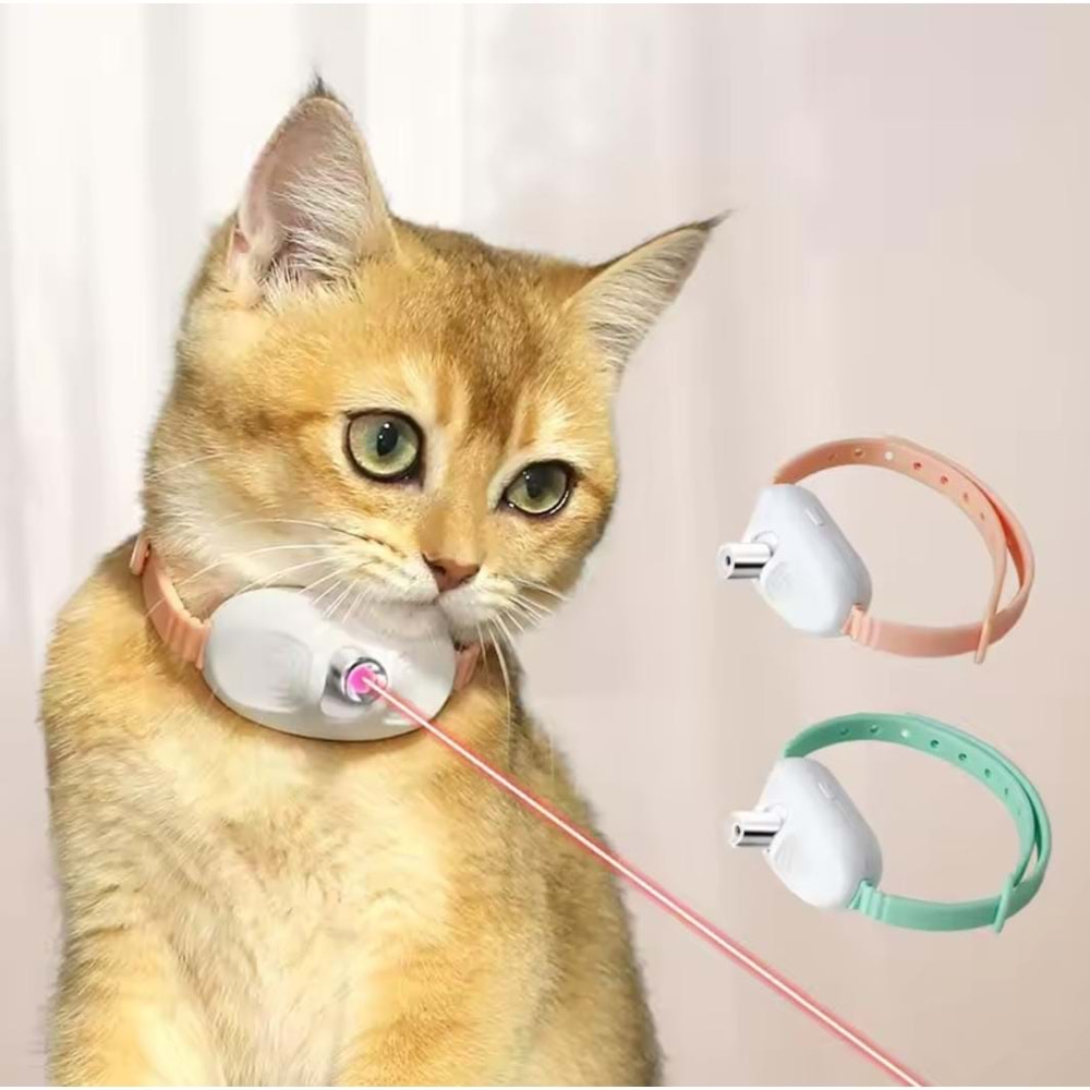 Lazerli Kedi Boyun Tasması