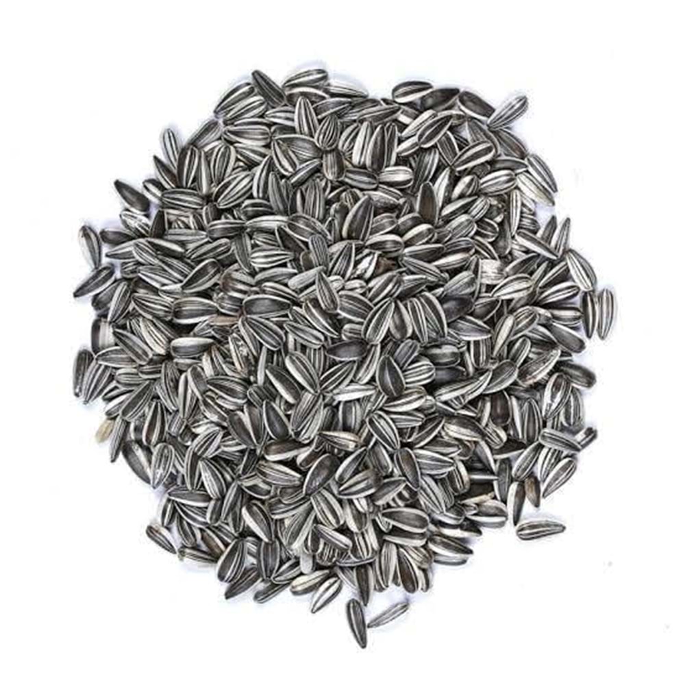 Vivid Alaca Çekirdek 20 Kg