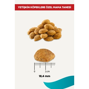 Rico Kuzu Etli Yetişkin Köpek Maması 15 Kg