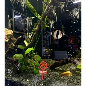 Dekoratif Balık Tutmak Yasaktır Tabelası 10 cm