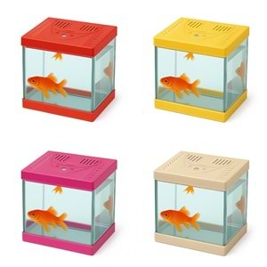 Plastik Mini Kare Akvaryum 20x20x15
