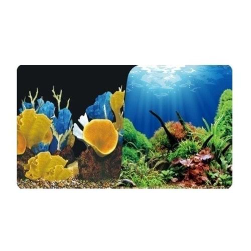 Çift Taraflı Poster 3 Boyutlu 30cm-15mt (973)