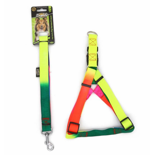 Doglife Rainbow Göğüs ve Gezdirme 2,5 cm