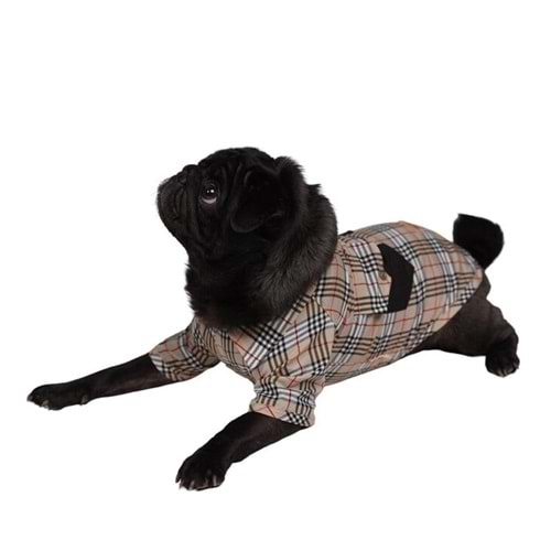 Bej Plaid Big Tişört 5li