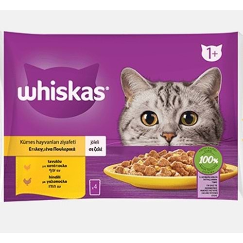 Whiskas Kümes Hayvanlı Jöleli Pouch 4x85 Gr