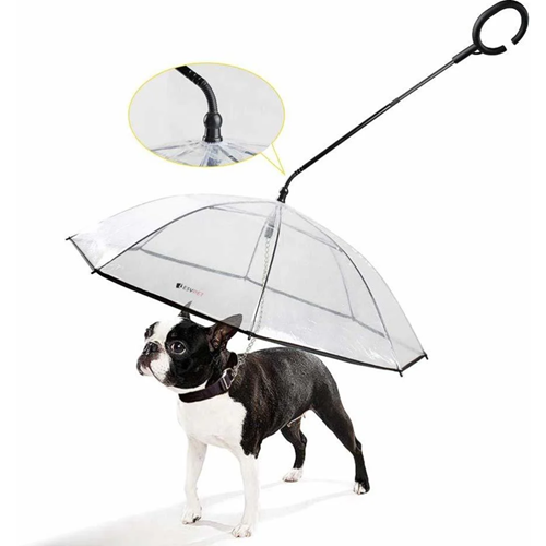 Kutulu Şemsiye Gezdirme