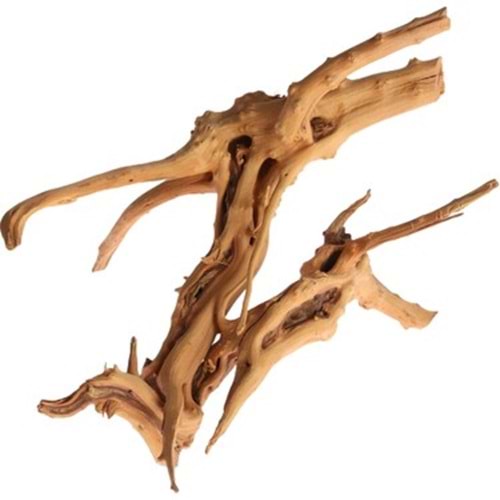 Akvaryum Kökü Bitki Büyük Boy (40-50 cm)