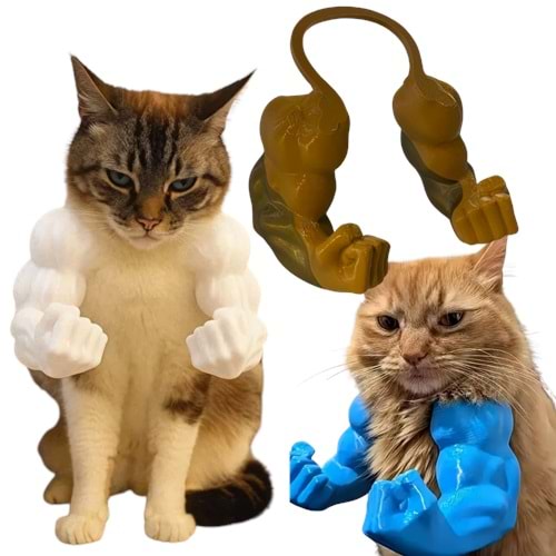 Kaslı Kedi Kolu Aksesuar