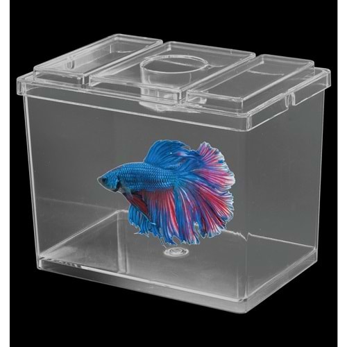 Sobo M-B04 Betta Tankı