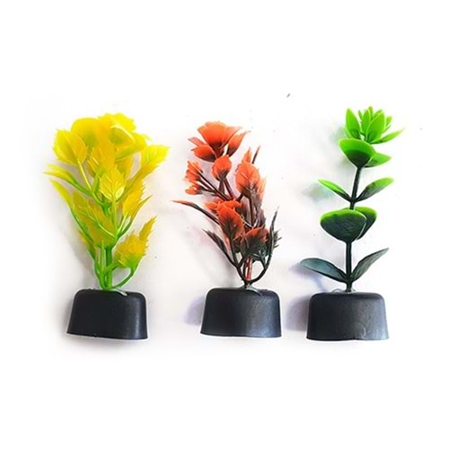 Akvaryum Bitkisi 5 cm 10lu