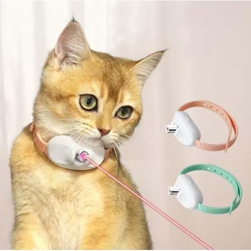 Lazerli Kedi Boyun Tasması