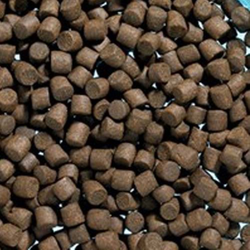 Etçil Dip Balık Yemi 1 Kg 5 mm