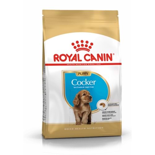 Royal Canin Puppy Cocker Köpek Maması 3 Kg