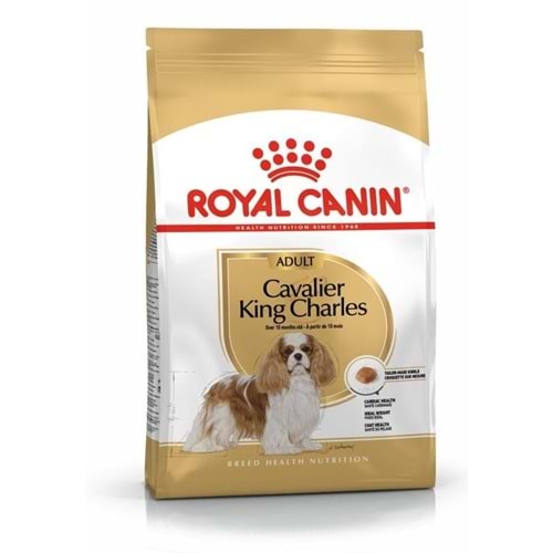 Royal Canin Cavalier Adult Köpek Maması 3 Kg