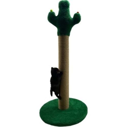 Kaktüs Tırmalama Tahtası 50 cm Gri