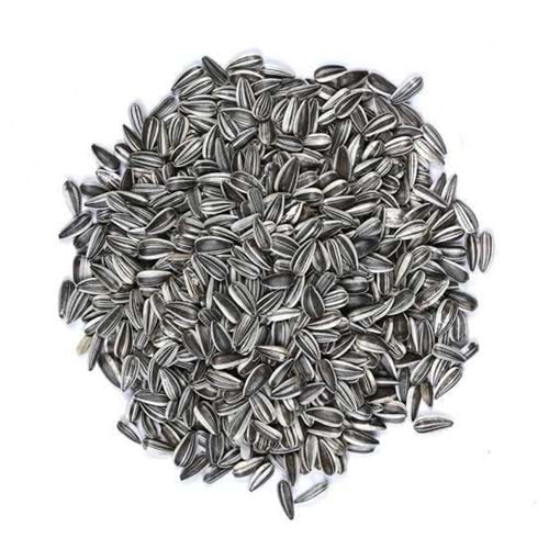 Vivid Alaca Çekirdek 20 Kg
