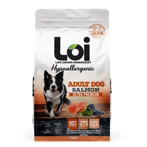 Loi Somonlu Yetişkin Köpek Maması 3 kg