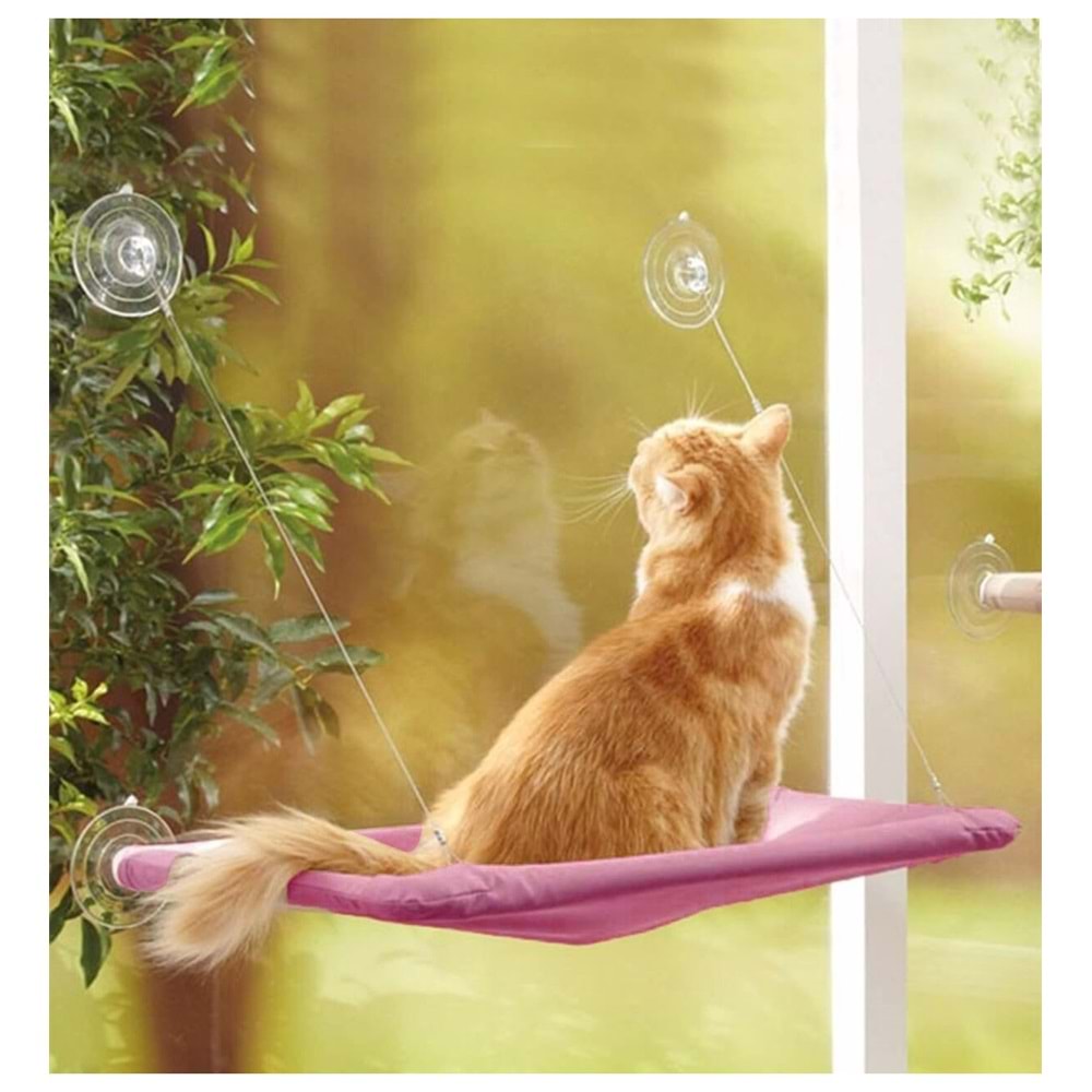 Cama Yapışan Kedi Yatak 30x50