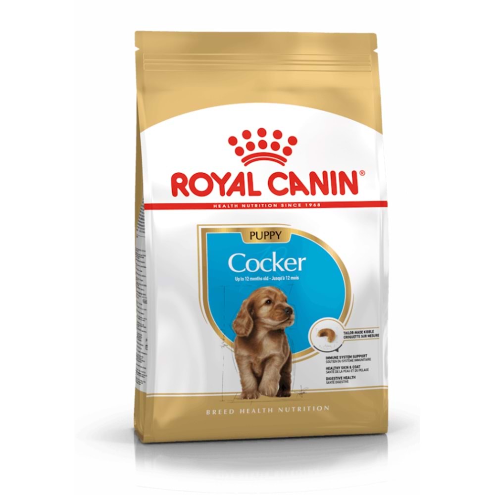 Royal Canin Puppy Cocker Köpek Maması 3 Kg